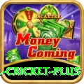 all cricket Royal Jackpot