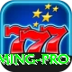 Betandyou Gaming Pro