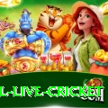 bpl live cricket PK Max