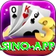 Casino App Pakistan Plus Casino App
