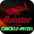 cricket pitch Live Casino Mega