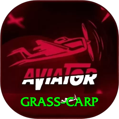 grass carp Pakistan Prime v2.5.2 - 2