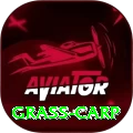 grass carp Pakistan Prime v2.5.2