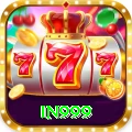 in999 Pro Edition v4.8.3