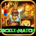 india pakistan cricket match Pakistan Legend v2.6.1