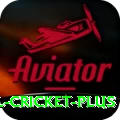 international cricket Champion v4.5.1