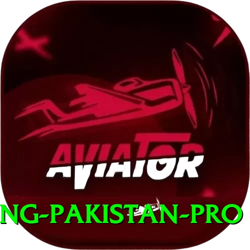 IPL Betting Pakistan PK Ultimate - 2
