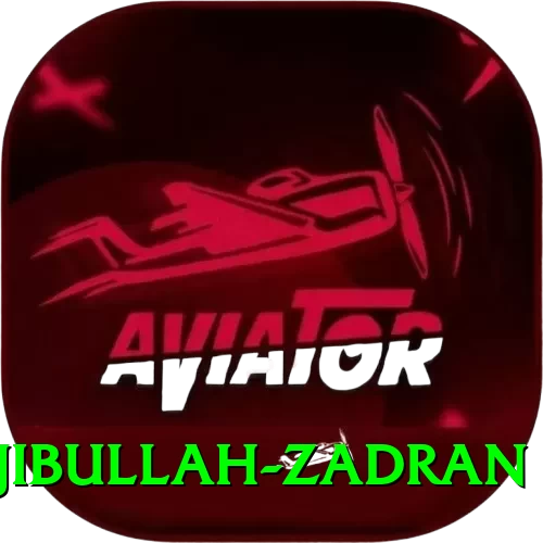 najibullah zadran Official v4.2.9 - 2