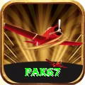 Pak67 Apps (Tools & Injectors) VIP v1.0.4