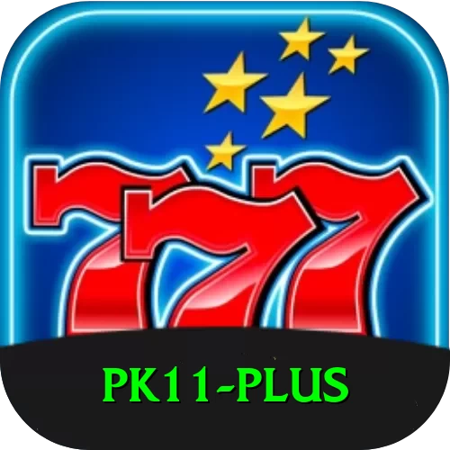 pk11 Max Latest v1.7.4 - 2