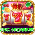 powerball winning numbers Casino Supreme v1.7.7
