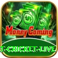 smart cricket live Gaming Deluxe