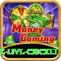 smartcric live cricket Master Casino App