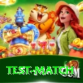 test match - Mega Earning App