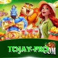 tojay Slots Ultimate v1.1.8