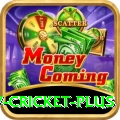 v cricket Games Premium