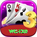 wc t20 Gaming Deluxe v2.7.4