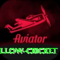 willow cricket Pakistan VIP v5.1.4